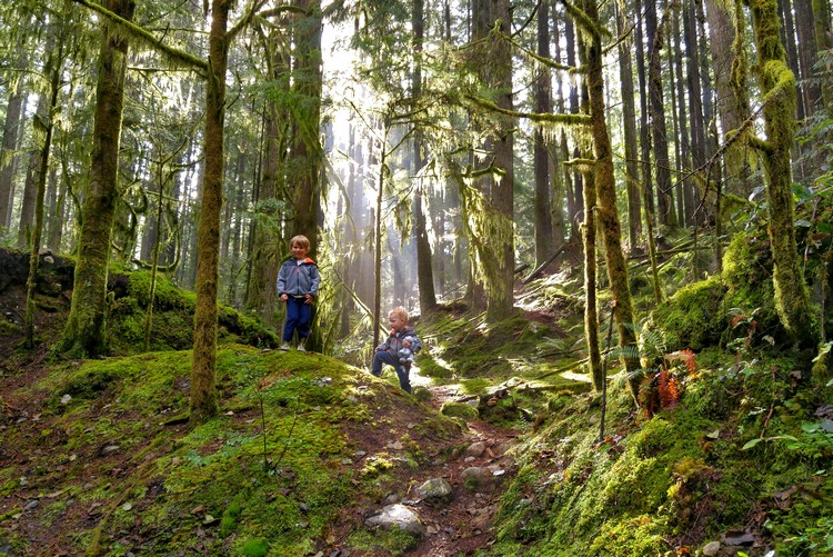 kids hiking in Lynn Valley park near Rice Lake trail, free things to do in Vancouver this summer