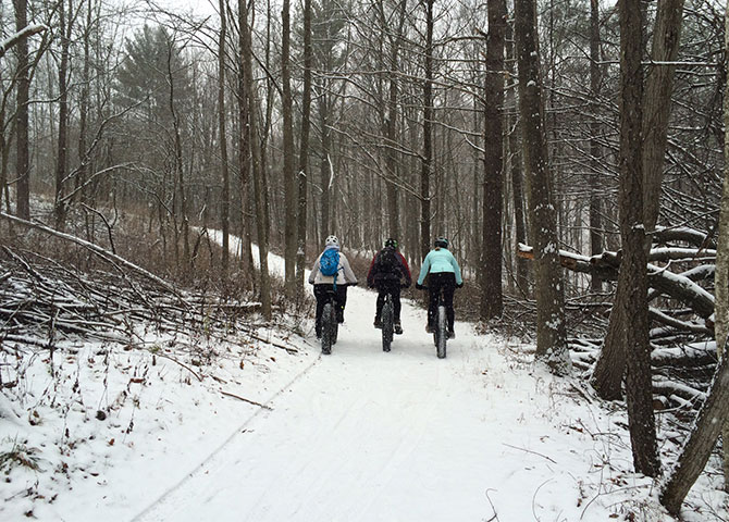 Cyclists go fat biking through Hamilton's Dundas Valley (© Tourism Hamilton) 