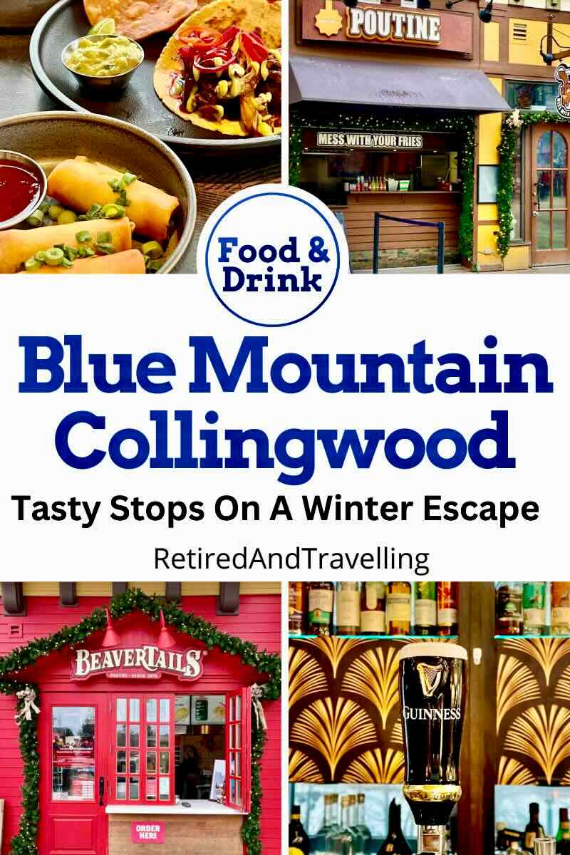 Blue Mountain Winter Escape In Collingwood Ontario