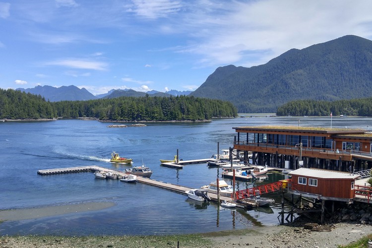 Views of Tofino mountains and harbour