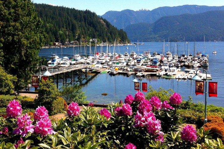 Deep cove marina in summer, free things to do in Vancouver British Columbia