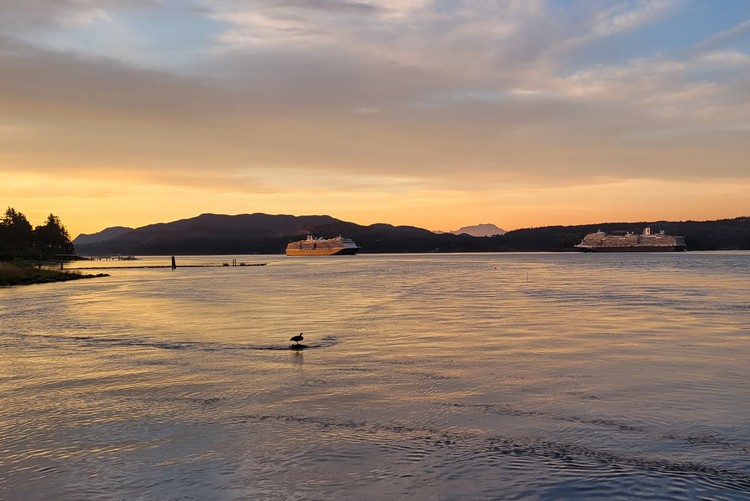 Cruise ships sailing through Discovery Passage in front of Painter's Lodge, Campbell River