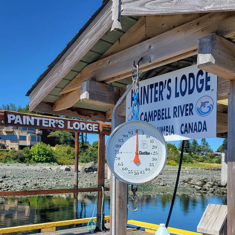 view of Painter's Lodge fishing resort in Campbell River on Vancouver Island, British Columbia salmon fishing resort