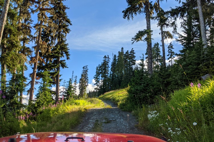 View of the 4x4 jeep trail up Blackcomb Mountain 