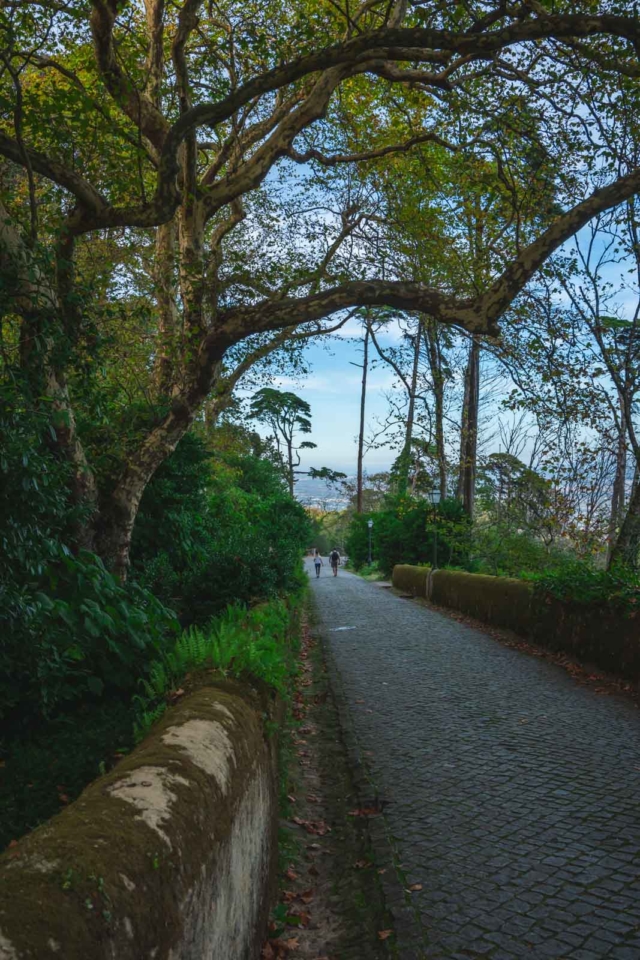 The Park of Pena in Sintra