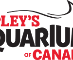 Swim Into the Spring Sea-son at Ripley’s Aquarium of Canada