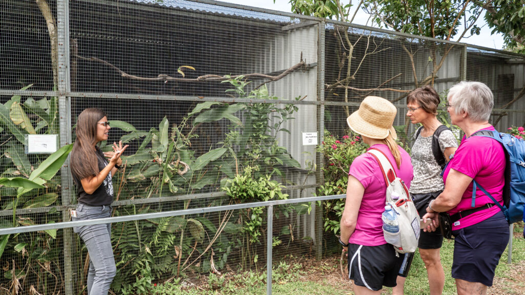 Tour of the Toucan Rescue Ranch