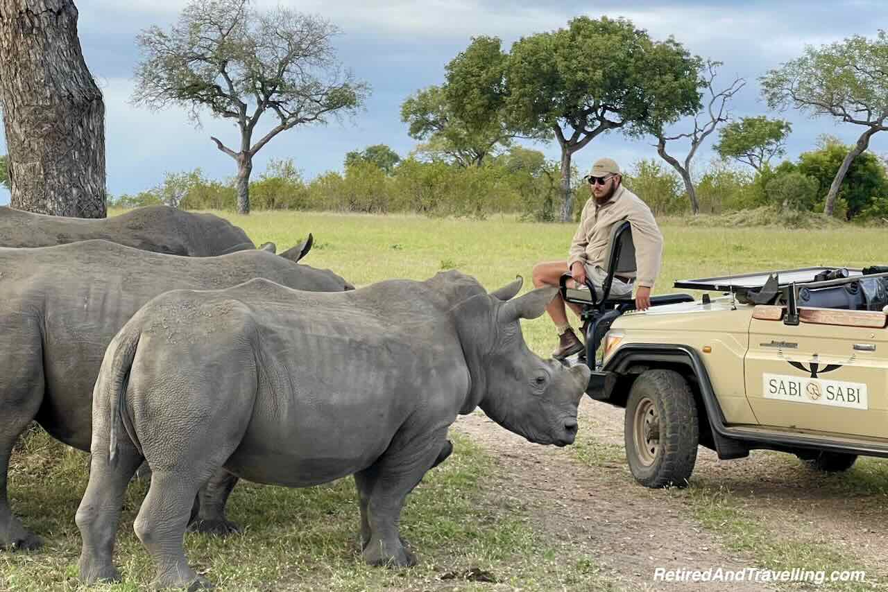 Rhino - Big Five- Close Animal Encounters At Sabi Sabi Private Game Reserve