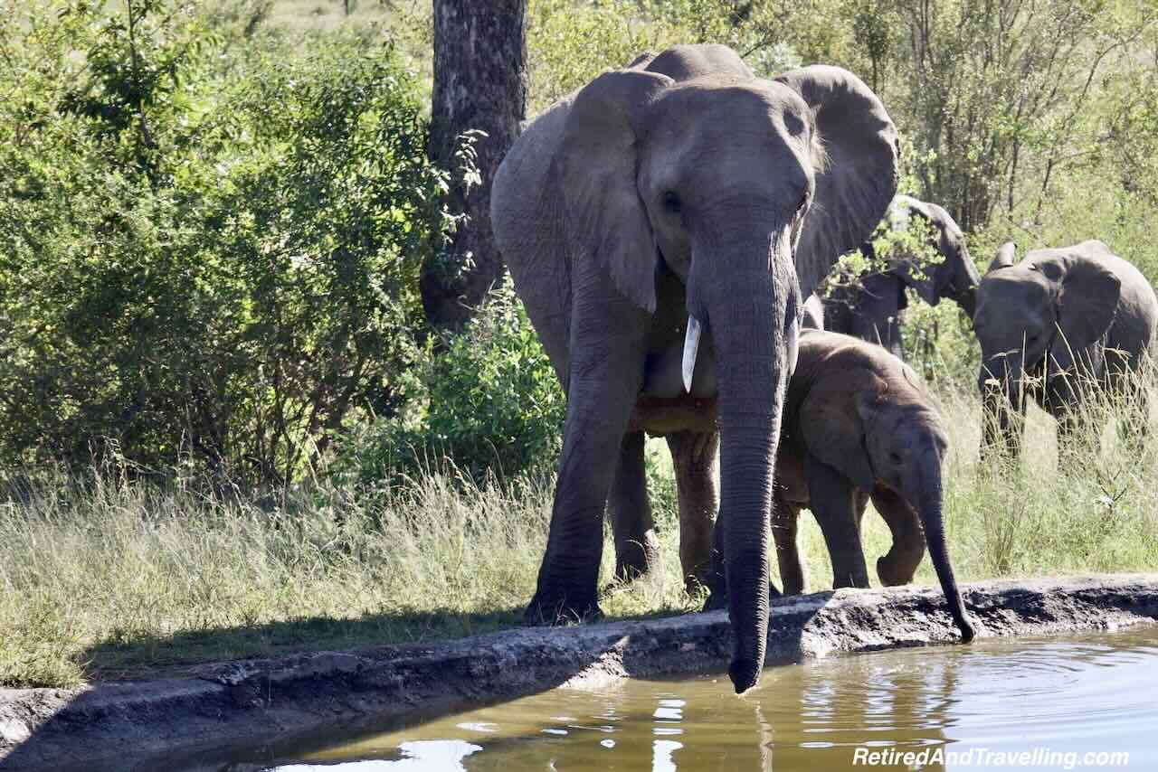 Elephant Resort Family