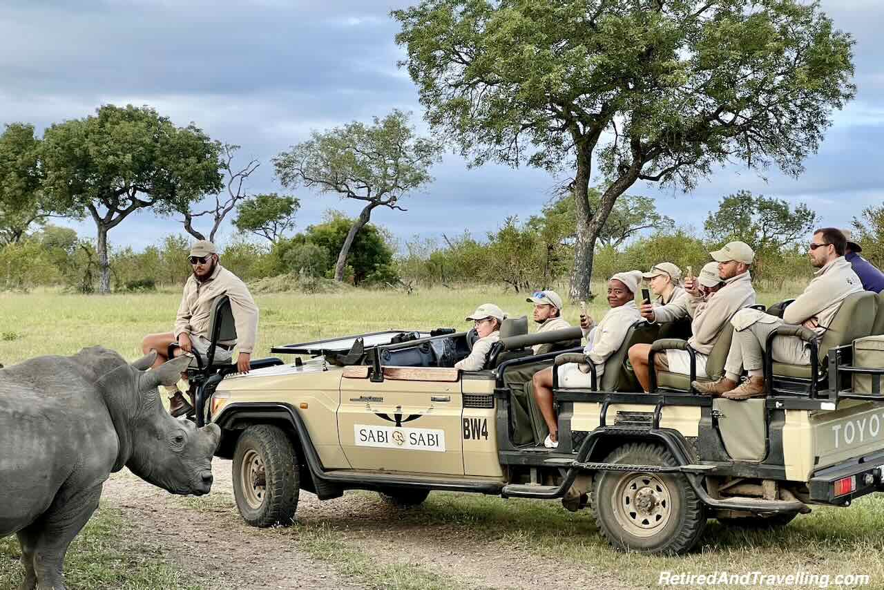 Rhino - Big Five - Close Animal Encounters At Sabi Sabi Private Game Reserve