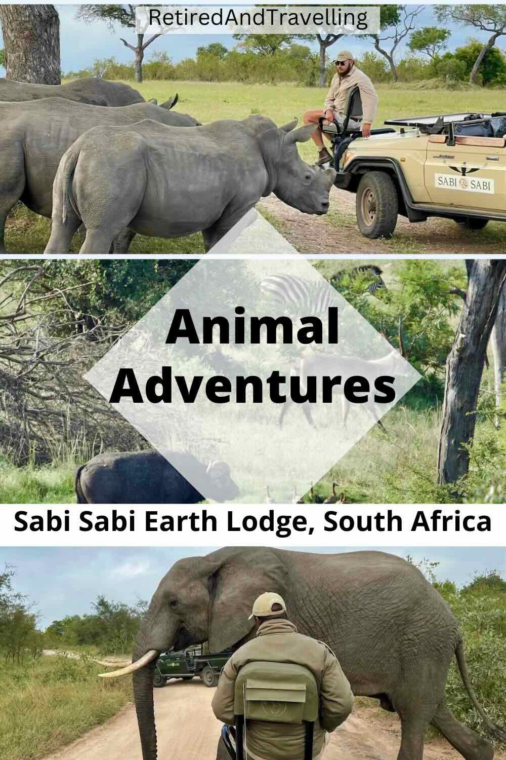 Close Animal Encounters At Sabi Sabi Private Game Reserve