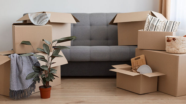 A couch, a plant, and moving boxes sit together on the floor in a living room of a new home. Moving supplies, such as U-Haul packing peanuts, are a great way to secure loose items in your moving boxes.