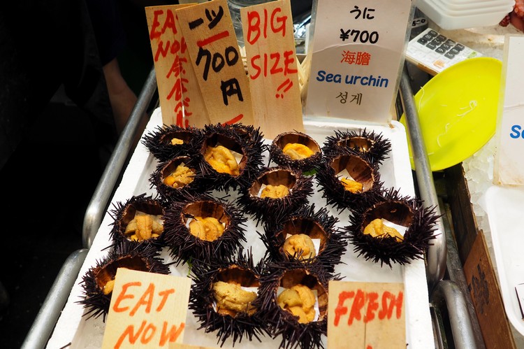 fresh sea urchin for sale at Nishiki Market in Kyoto Japan