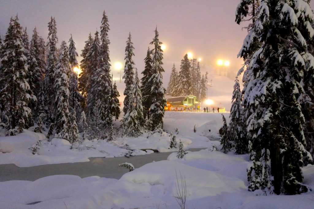 Cypress Mountain at night skiing with fresh snow on trees, Vancouver British Columbia