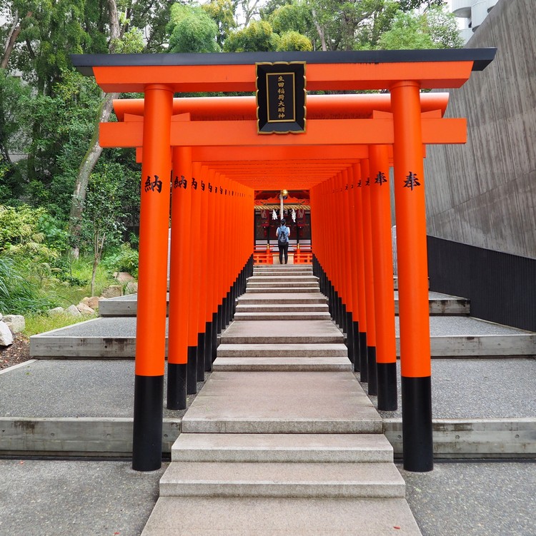 Row of bright orange torii gates inside Ikuta Shrine, Kobe Japan