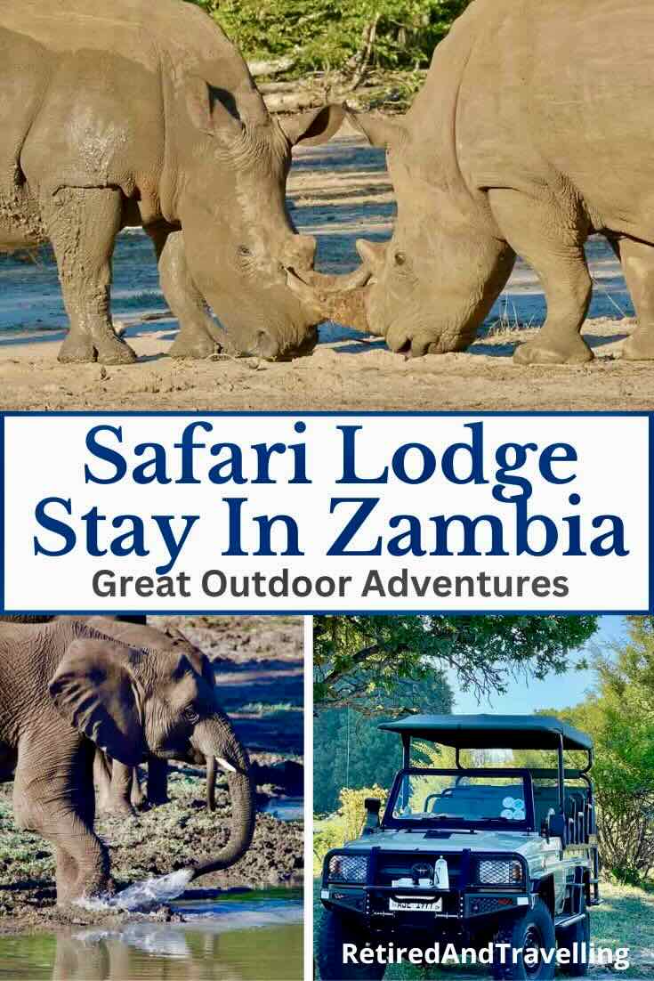 Safari Lodge Stay In Zambia At Thorntree River Lodge