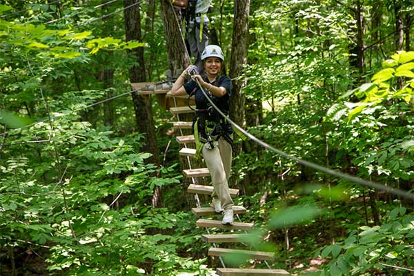 ToDoOntario - Treetop Trekking Huntsville