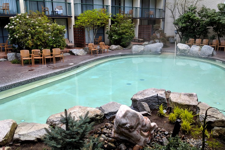 Hot Springs Resort Spa Adult Pool