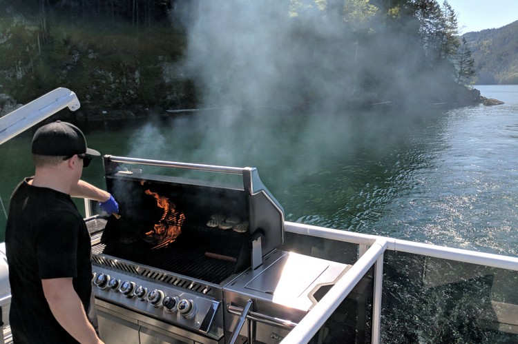 Harrison Lake Waterfall Cruise with Shoreline Tours