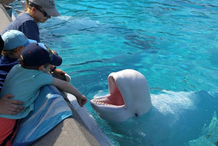 Marineland, Niagara Falls, Ontario, Canada