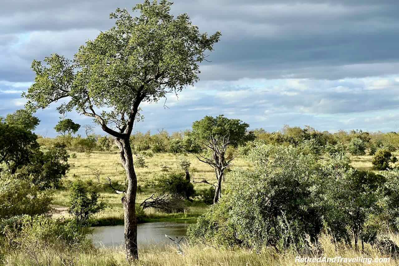 View - Luxury Safari Stay At Sabi Sabi Earth Lodge in South Africa