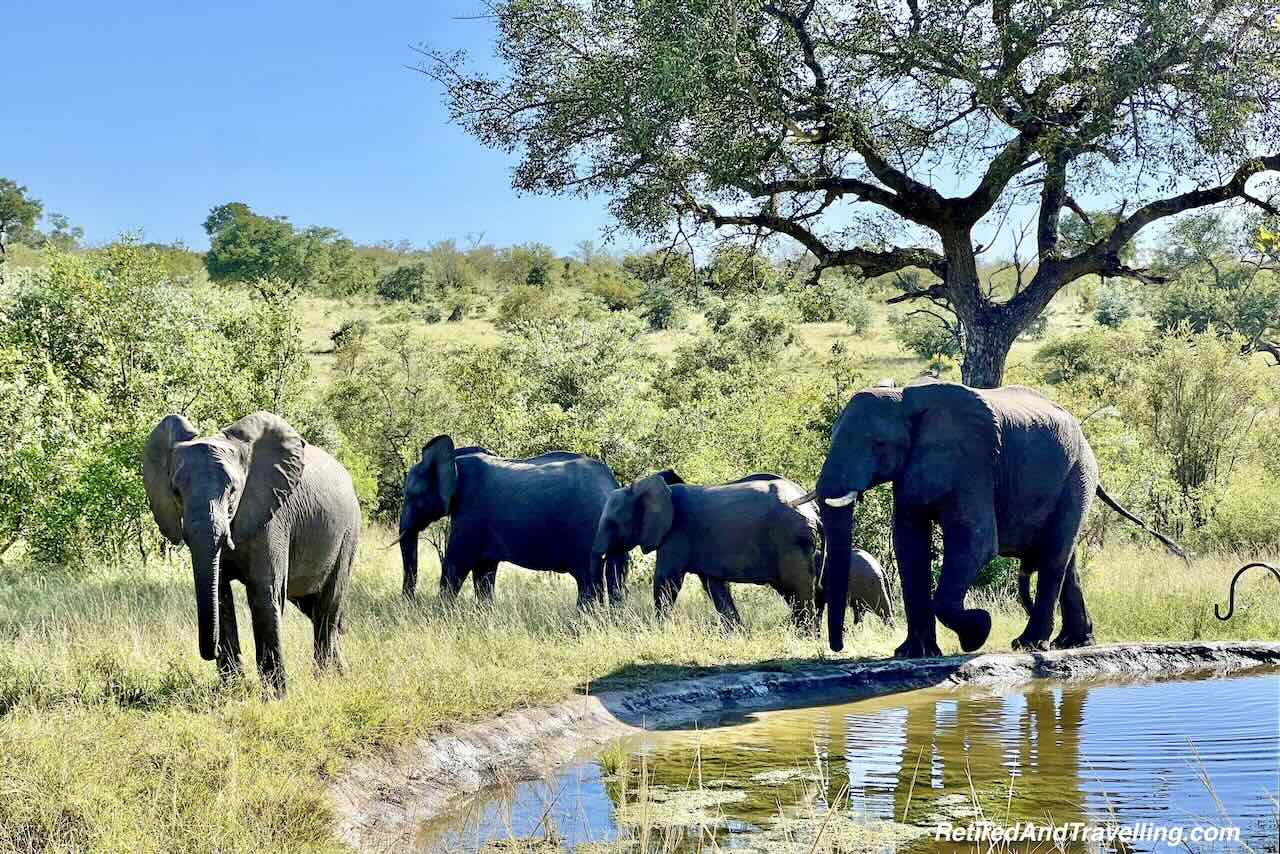 Elephant Resort Family