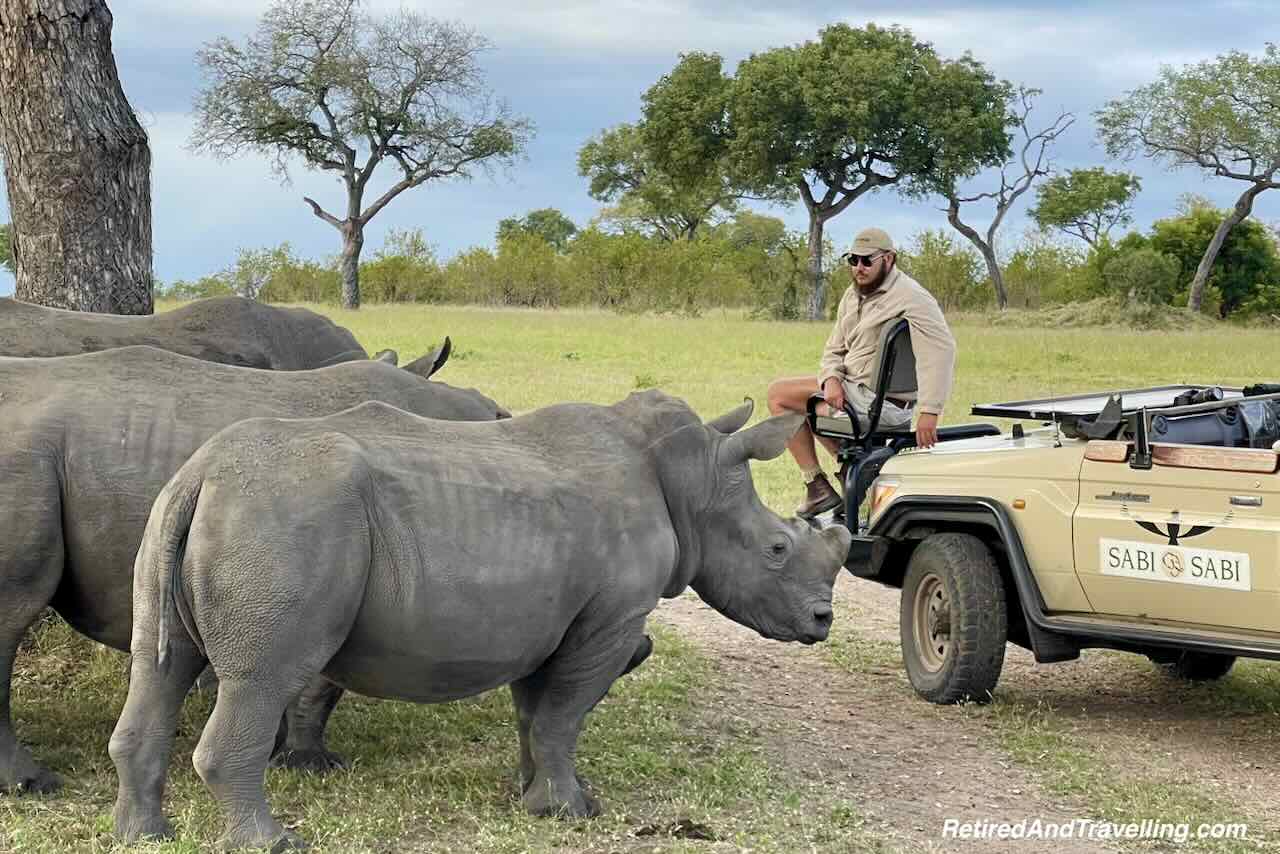 Rhino - Big Five - Luxury Safari Stay At Sabi Sabi Earth Lodge in South Africa