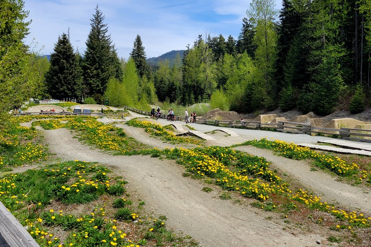 free bike course in Whistler village, good for kids