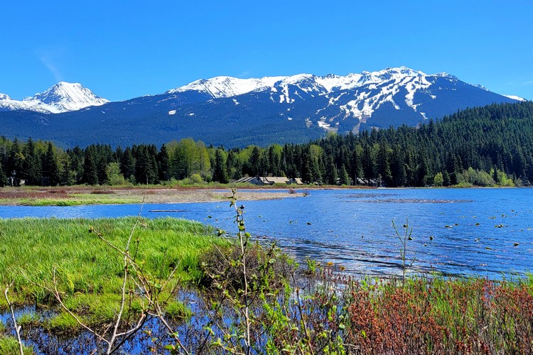 Views of Blackcomb Mountain from the Valley Trail at Alta Lake