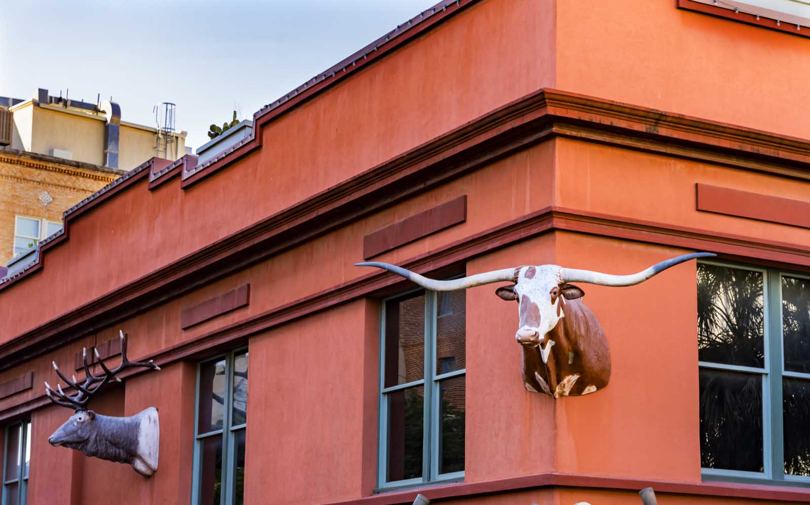 Things to do in San Antonio Texas Buckhorn Saloon & Museum