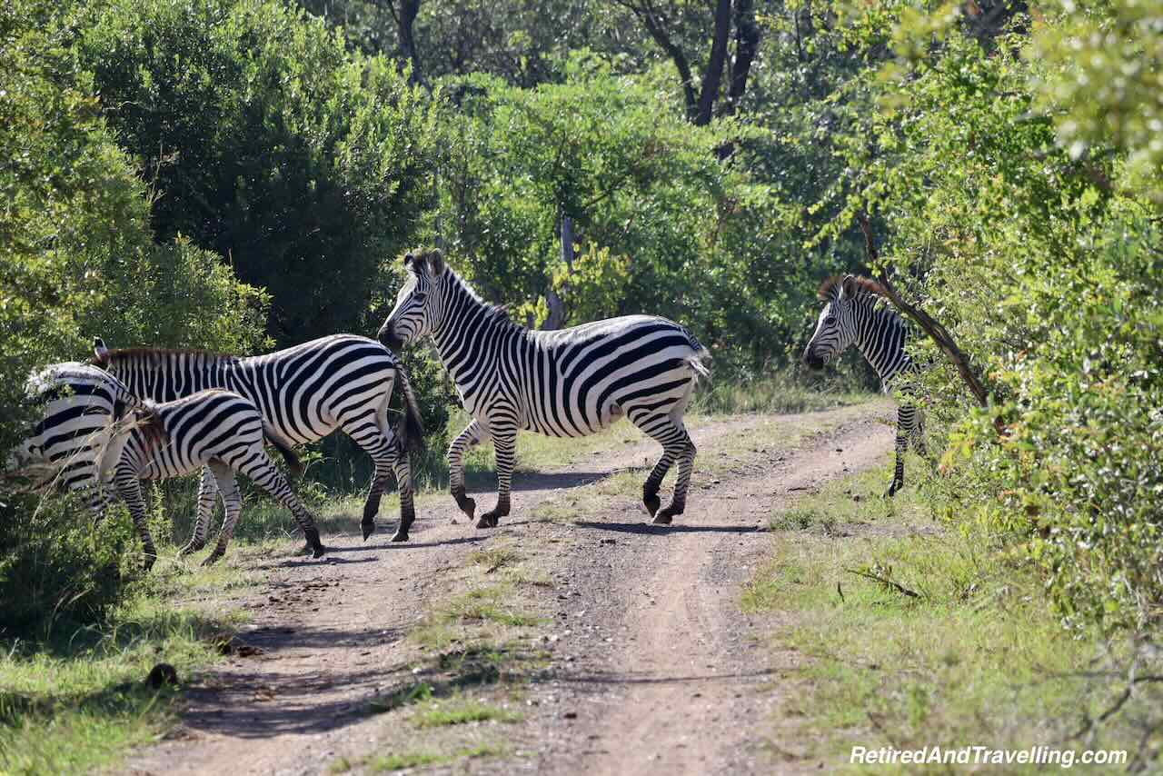 Zebra Crossing Road