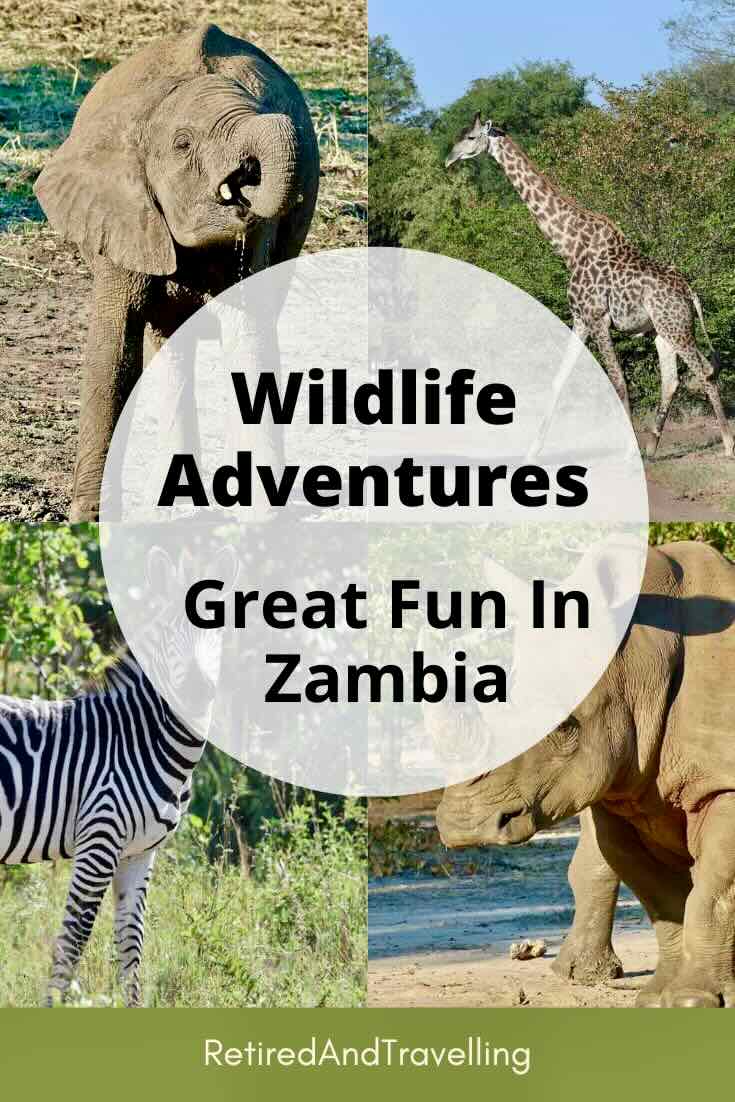 Wildlife Adventures In Zambia at Thorntree River Lodge