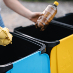 6 Tips To Make Recycling Easier for the Whole Familie